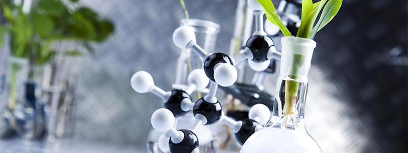 食品中污染物检测